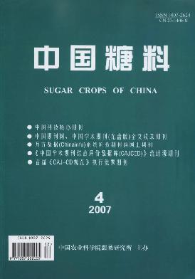 中國糖料