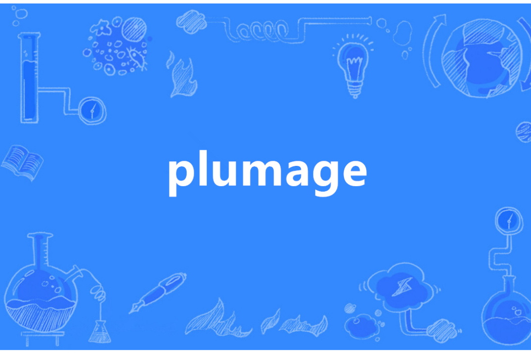Plumage(英語單詞) Plumage(英語單詞)