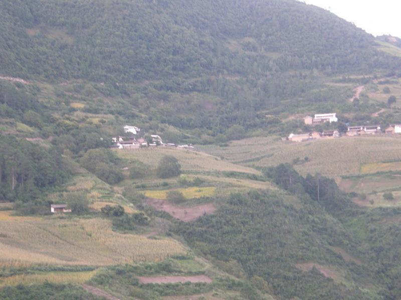芝麻下村 芝麻下村