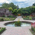 英式花園 英式花園