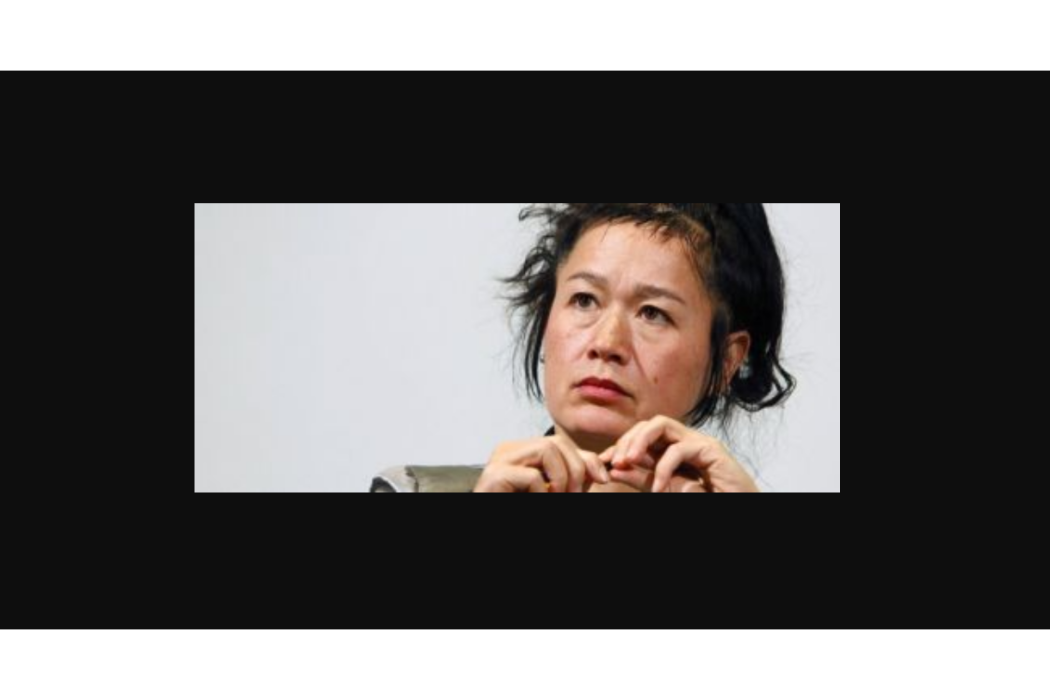 Hito Steyerl Hito Steyerl