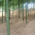 宣裴村(浙江省寧波市鄞州區宣裴村) 宣裴村(浙江省寧波市鄞州區宣裴村)