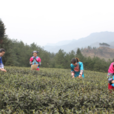 黃土鄉(貴州沿河土家族自治縣轄鄉)