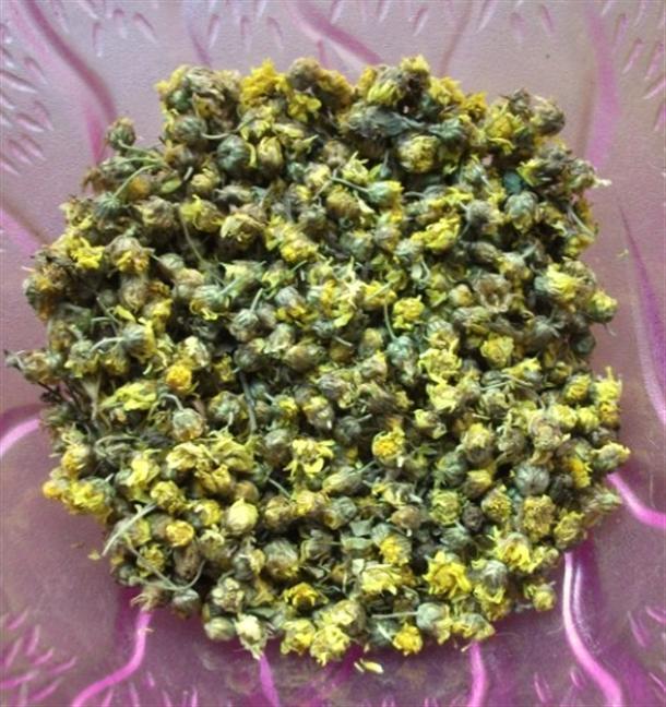 菊花顆粒 菊花顆粒