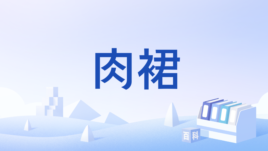 肉裙 肉裙