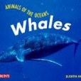 Whales(1997年Barrons Juveniles出版的圖書) Whales(1997年Barrons Juveniles出版的圖書)