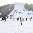 雲山滑雪場 雲山滑雪場