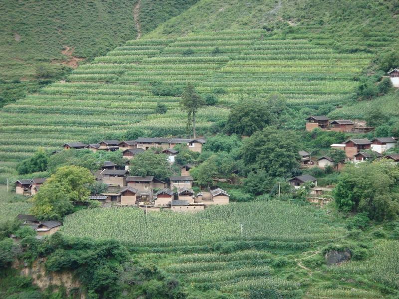 柳青村(玉龍納西縣奉科鄉柳青村) 柳青村(玉龍納西縣奉科鄉柳青村)