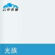 光族 光族