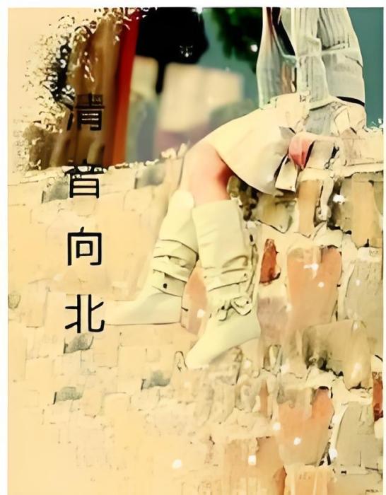 清音向北 清音向北