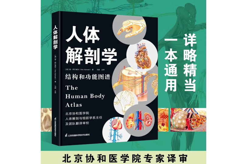 人體解剖學(2022年江蘇鳳凰科學技術出版社出版的圖書) 人體解剖學(2022年江蘇鳳凰科學技術出版社出版的圖書)