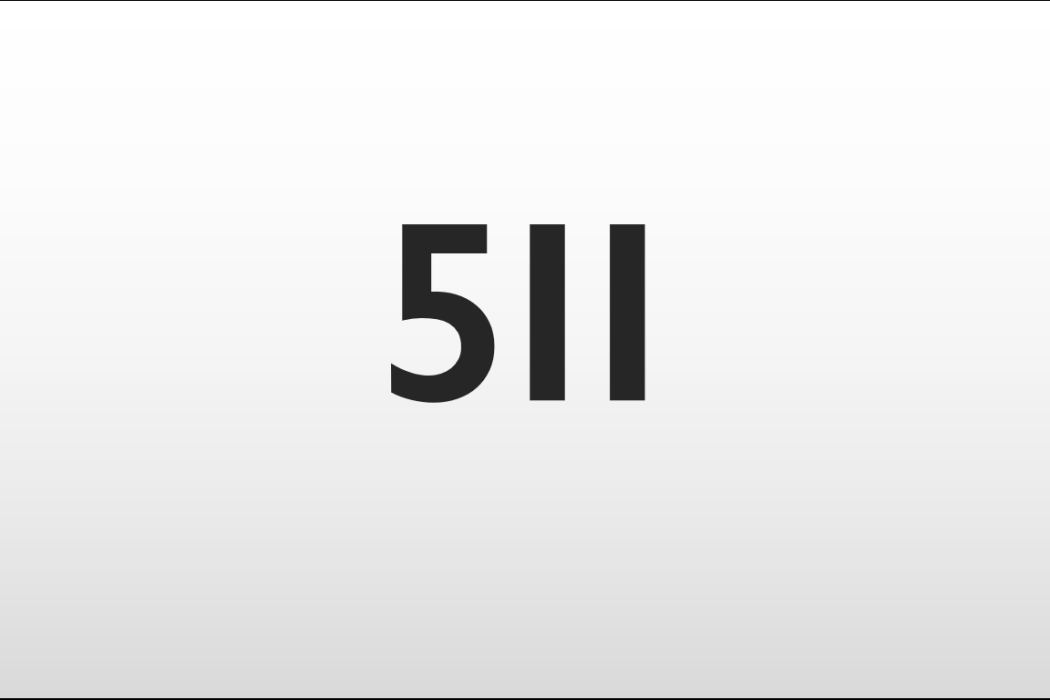 511(整數) 511(整數)