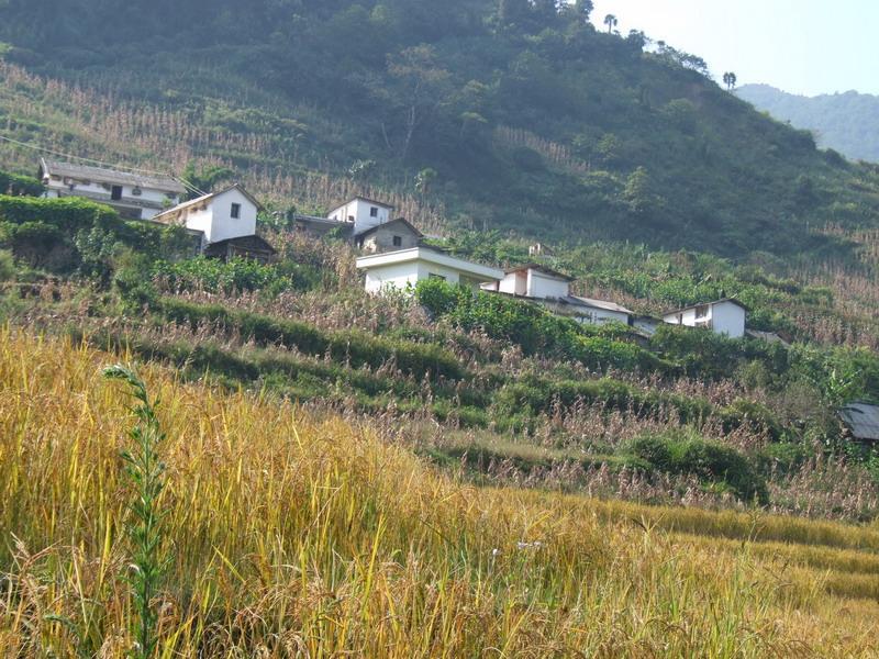 棚上村 棚上村