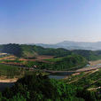 東營坊鄉 東營坊鄉