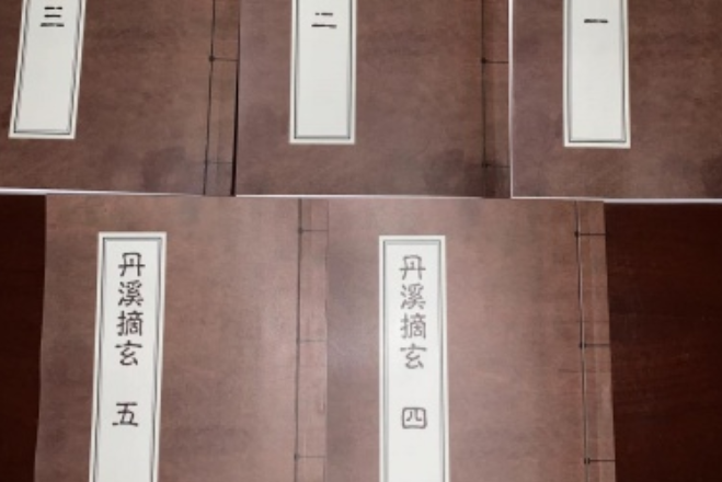 丹溪摘玄 丹溪摘玄