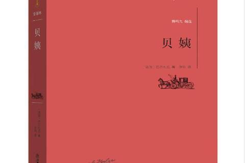 貝姨(2016年江西教育出版社出版的圖書)