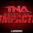 TNA格鬥大賽