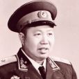 蕭鋒(肖鋒(中國人民解放軍少將)) 蕭鋒(肖鋒(中國人民解放軍少將))