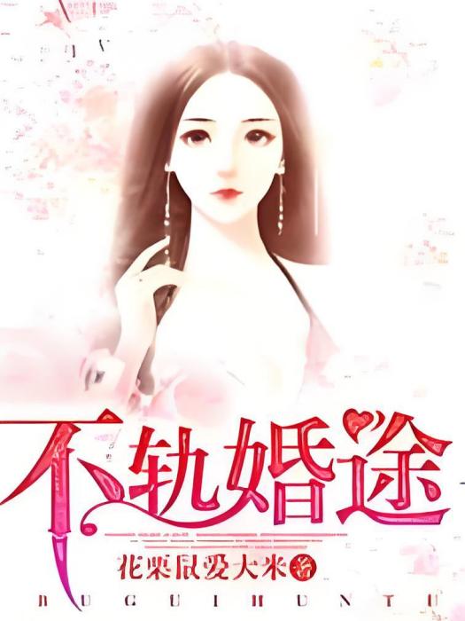 不軌婚途 不軌婚途