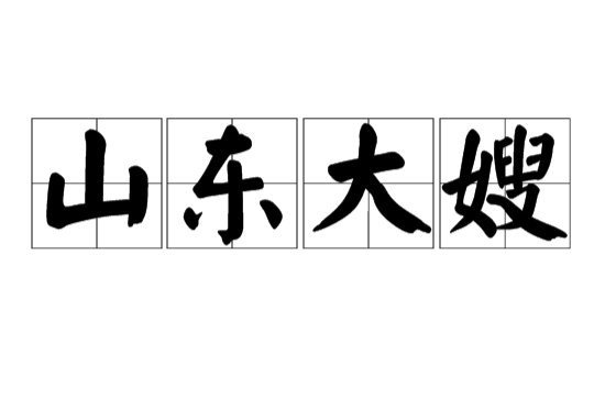 山東大嫂(漢語詞語)