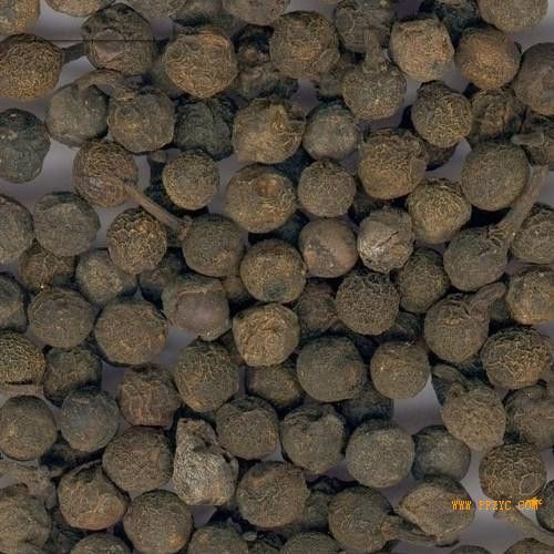 蓽澄茄(澄茄) 蓽澄茄(澄茄)