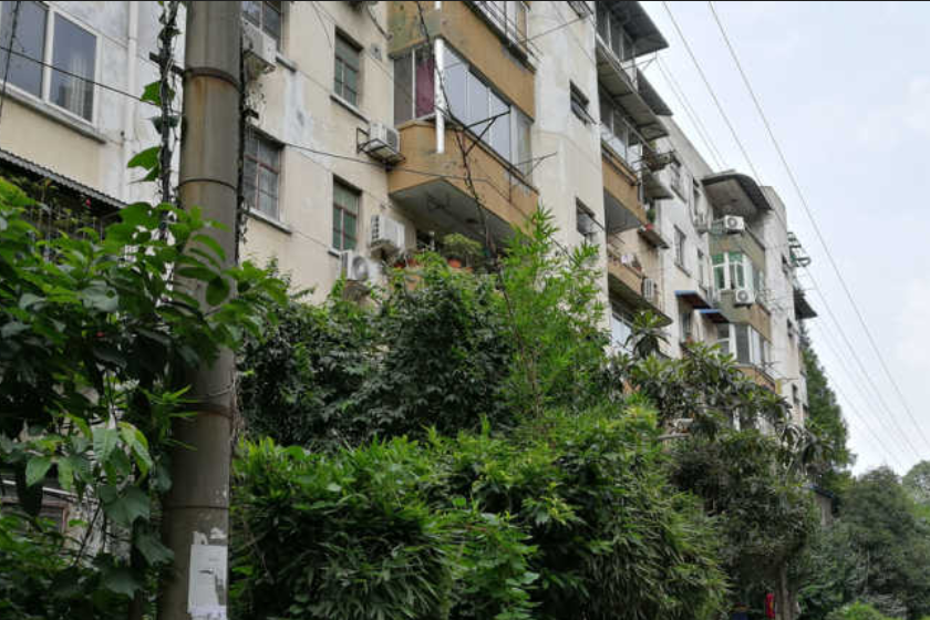 交大南園 交大南園