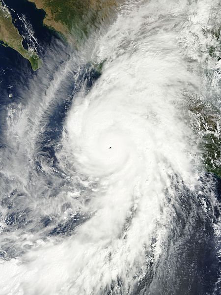 颶風帕特利夏