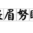 張眉努眼 張眉努眼