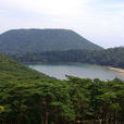 蝦野市 蝦野市