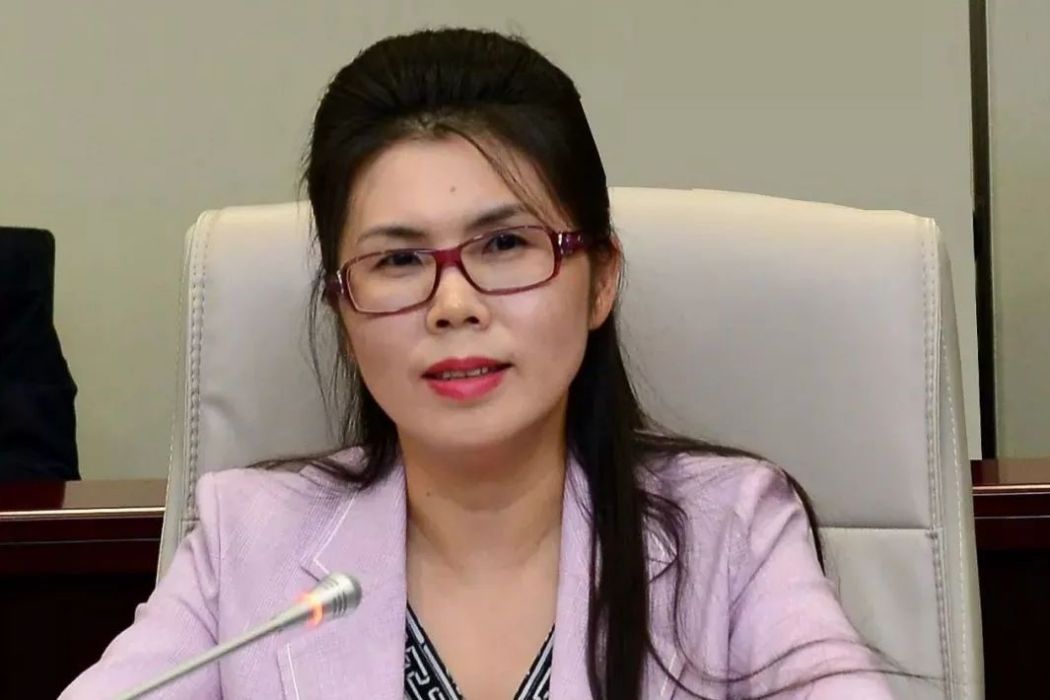 楊芳(步步高第六屆董事會原董事) 楊芳(步步高第六屆董事會原董事)