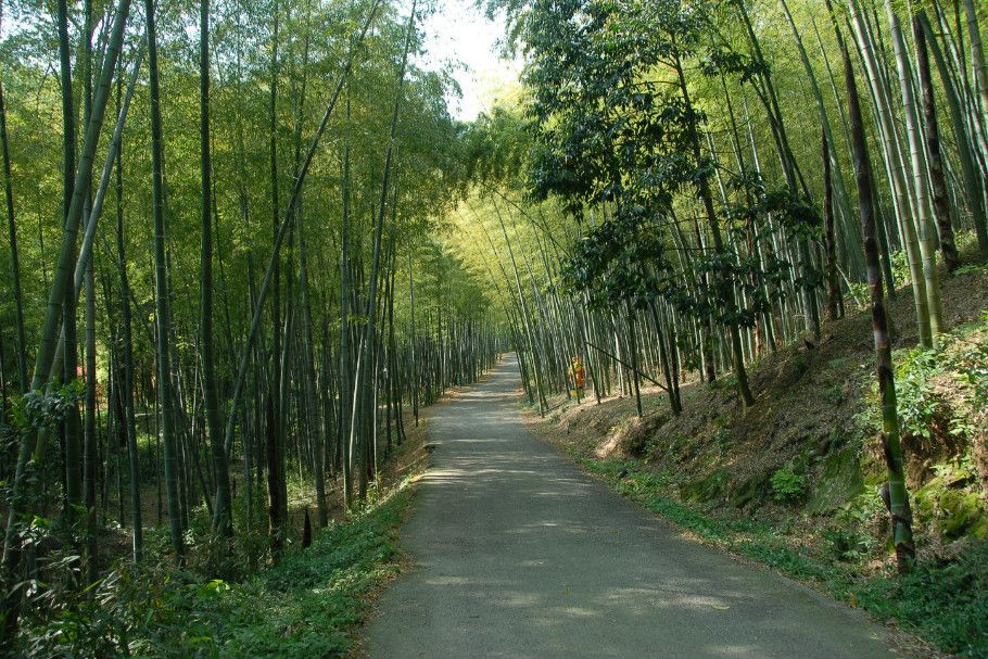 瑞岩景區 瑞岩景區