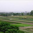 窯河村(安徽省淮南市大通區上窯鎮下轄村) 窯河村(安徽省淮南市大通區上窯鎮下轄村)