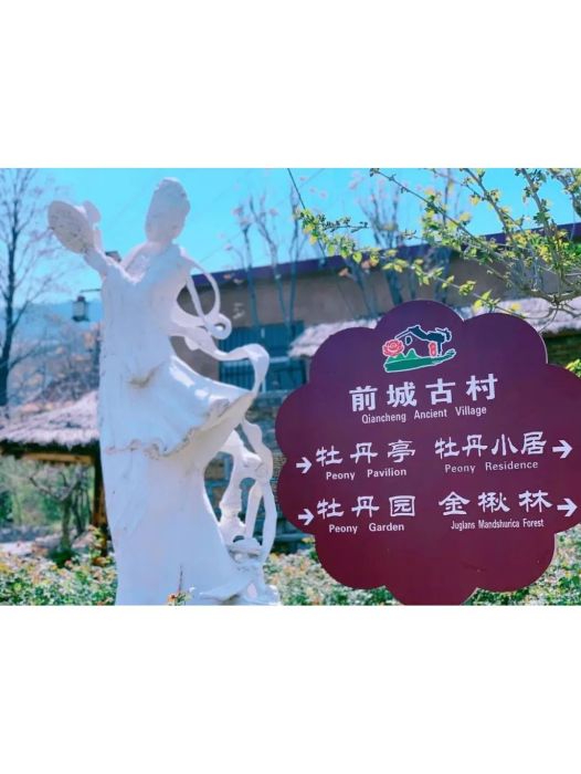 前城村(山東省蒙陰縣桃墟鎮前城村) 前城村(山東省蒙陰縣桃墟鎮前城村)