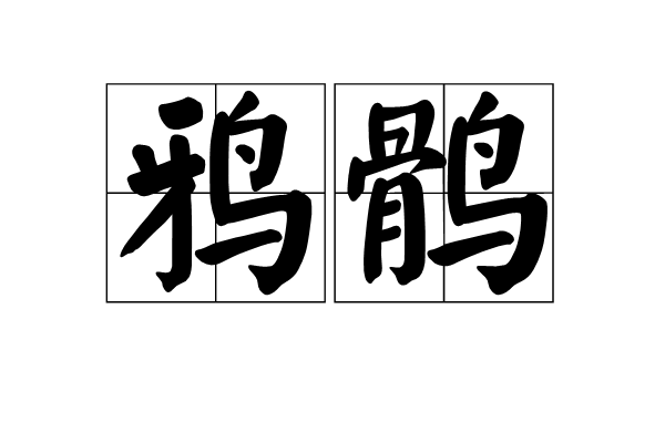 鴉鶻 鴉鶻