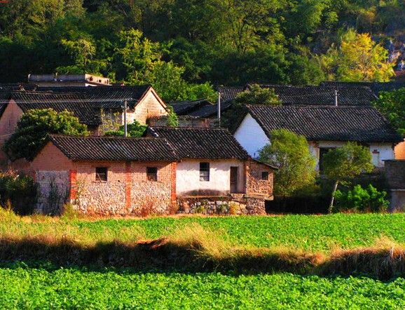 進寶塘村 進寶塘村