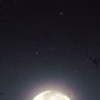 故鄉月 故鄉月