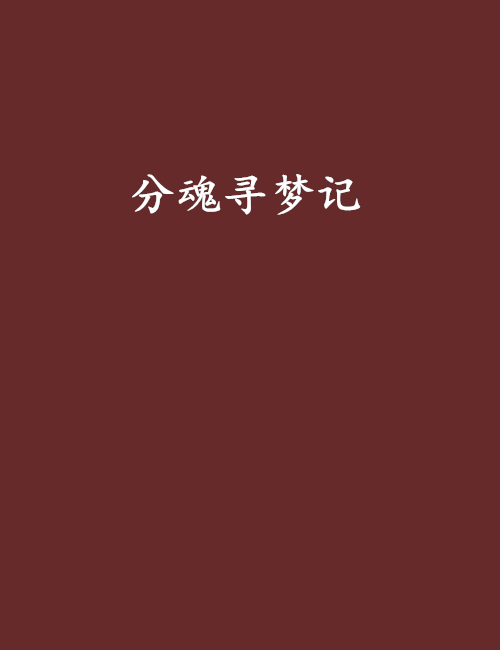 分魂尋夢記 分魂尋夢記