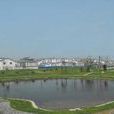 龍集村(江蘇省徐州市睢寧縣下轄村) 龍集村(江蘇省徐州市睢寧縣下轄村)
