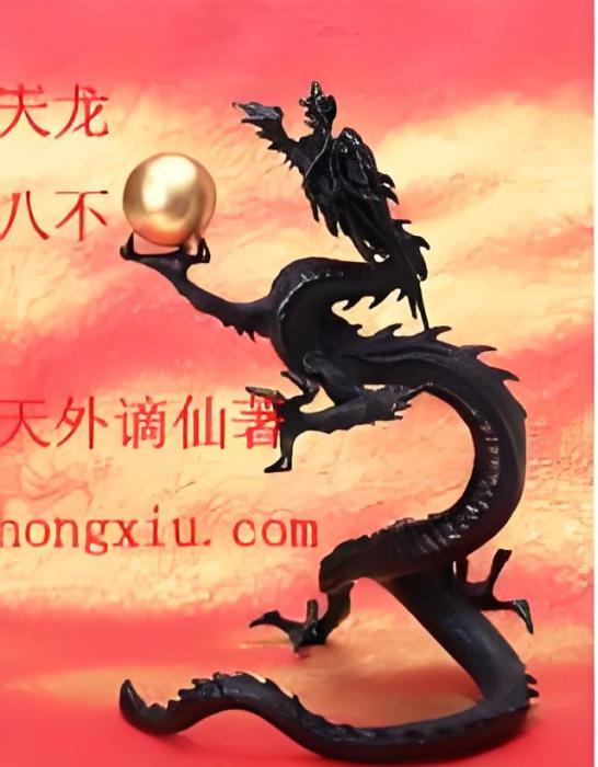 天龍八不 天龍八不