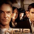 海軍罪案調查處(NCIS（2003年電視劇《海軍罪案調查處》）)