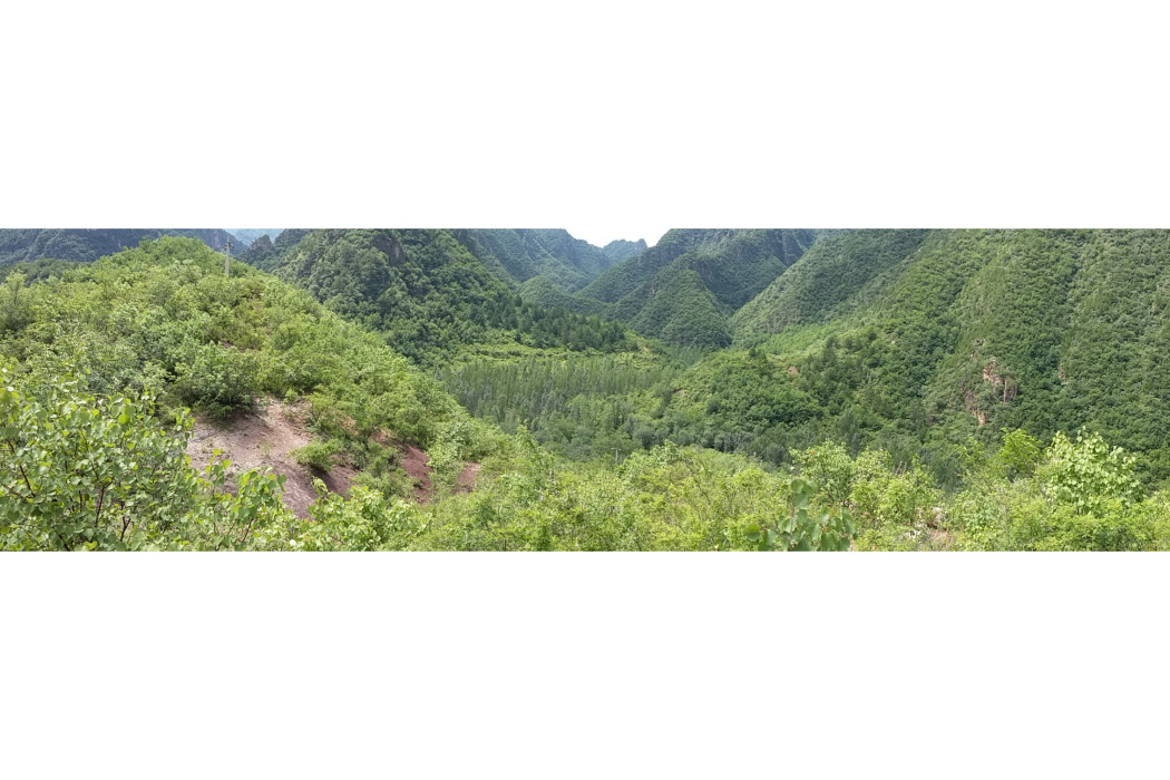 十里江湖 十里江湖