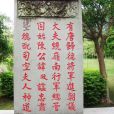 陳政(素軒) 陳政(素軒)