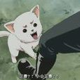 狛子 狛子