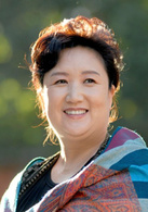 獨生子(2012年林申、朱傑主演電視劇)