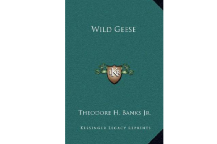 Wild geese(瑪麗·奧麗維所著圖書) Wild geese(瑪麗·奧麗維所著圖書)