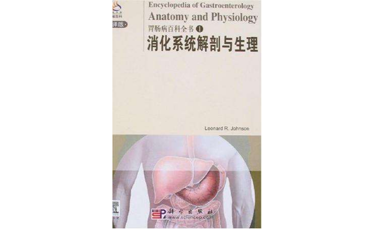 消化系統解剖與生理