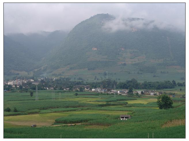 蠻崗村 蠻崗村