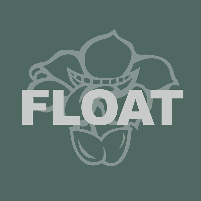 FLOAT(潮流服飾品牌)