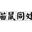 貓鼠同處 貓鼠同處