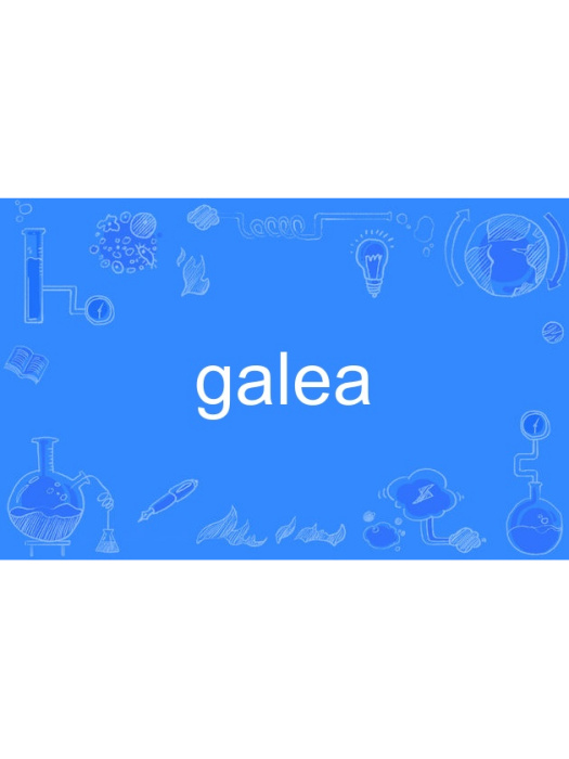 galea galea